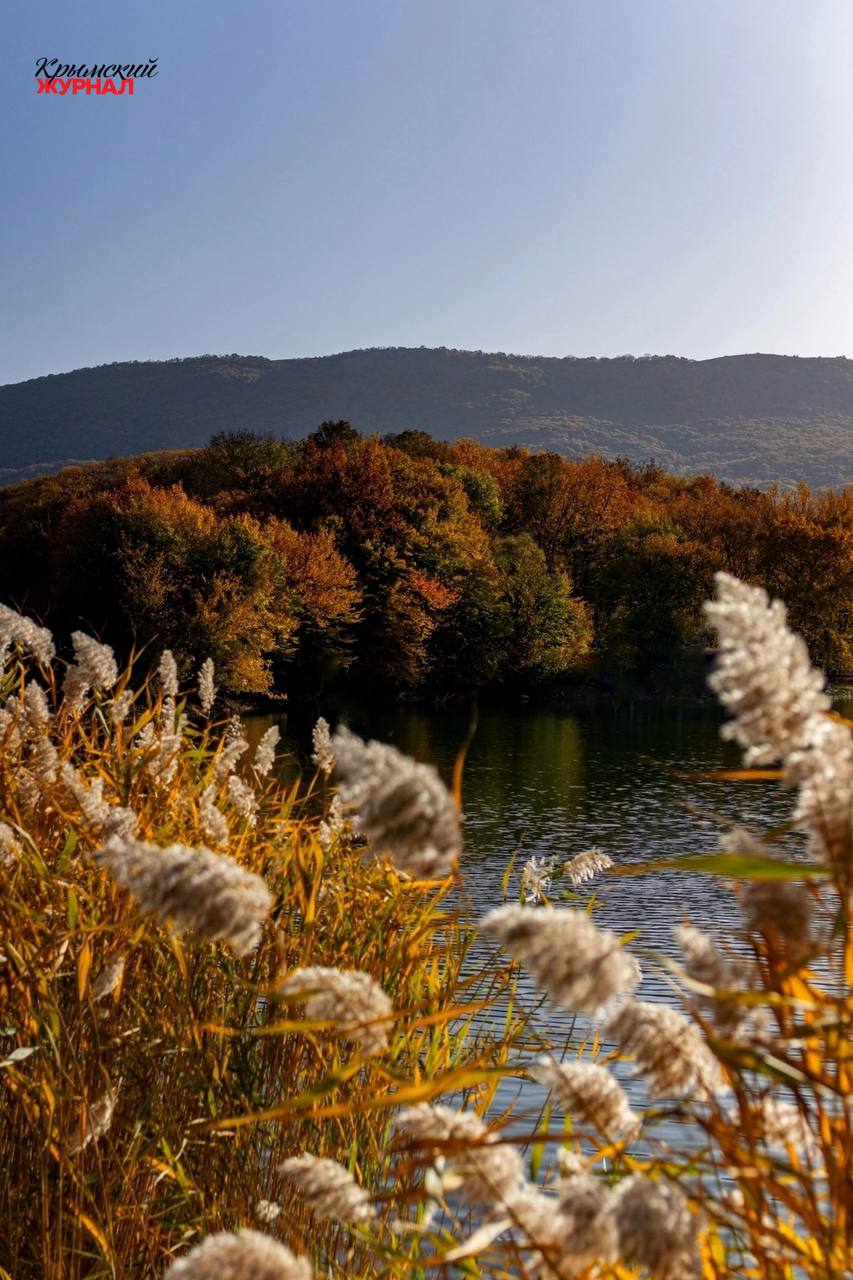 Прекрасный ноябрь в Крыму. За фото благодарим Анну Изюмскую @SMICrimea