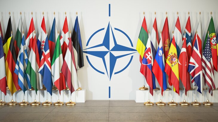 Глава Минобороны Италии усомнился в смысле существования НАТО Глава Минобороны Италии усомнился в смысле существования НАТО